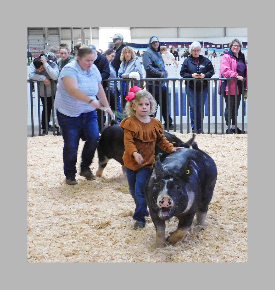 Photo titled Big E 2022 Youth Swine 2