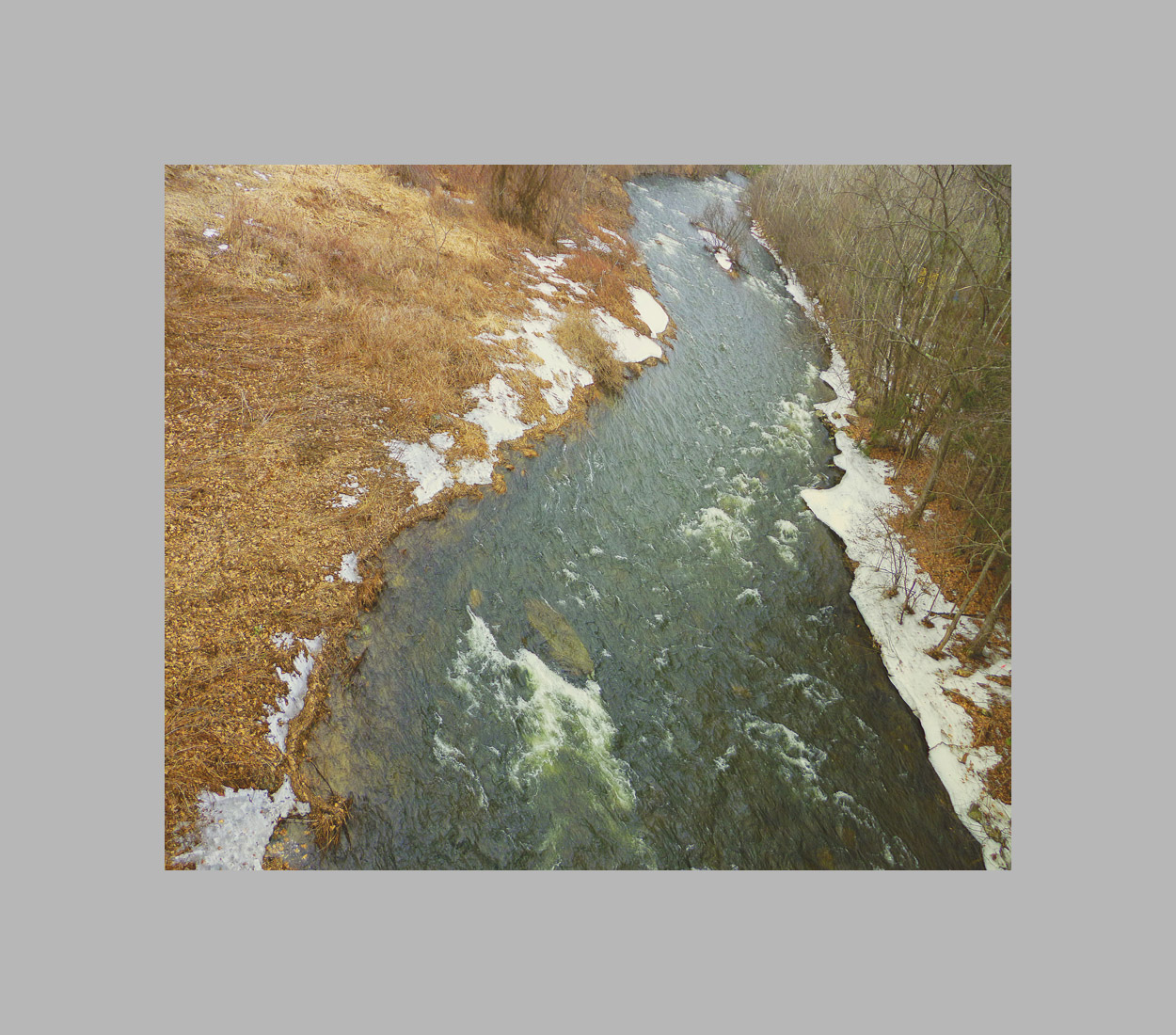 Photo titled Above the Branch