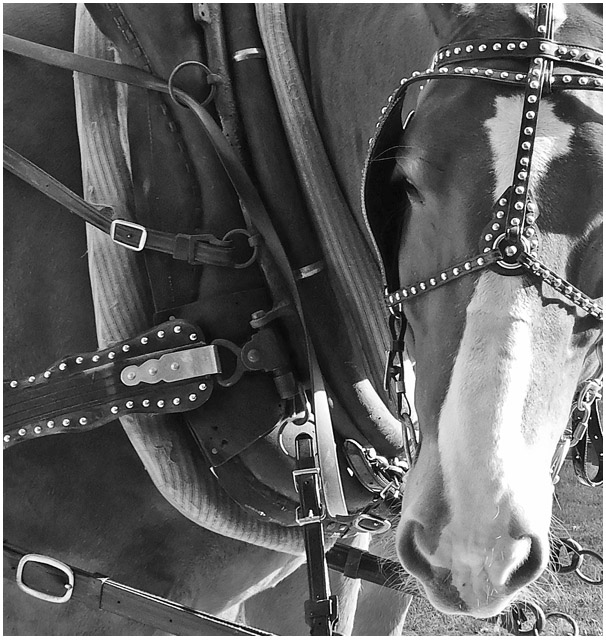 Photo titled All Dressed Up