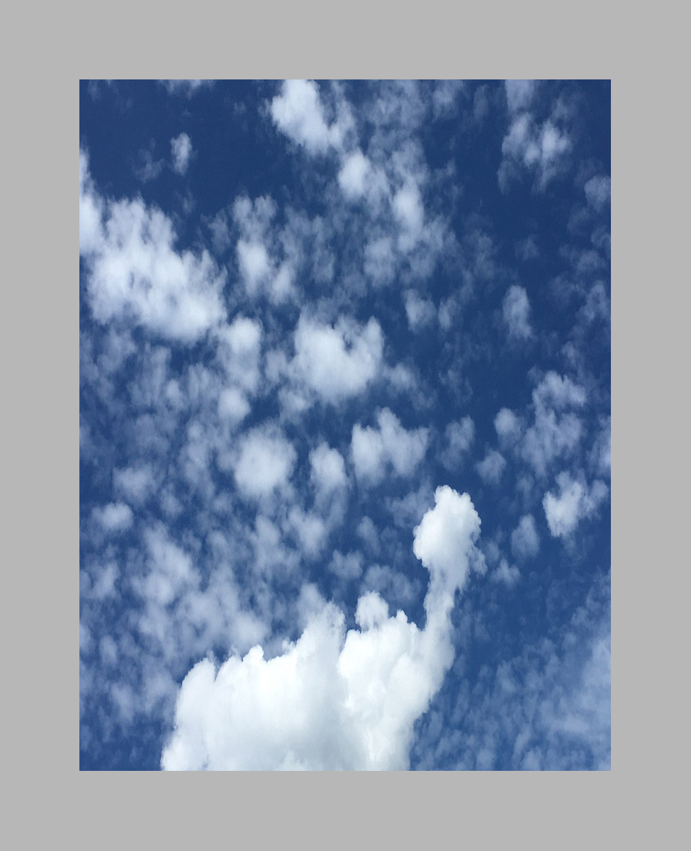 Photo titled Alpaca-like Cloud