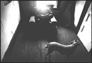 Thumbnail titled Jimmy Has a Duane Michals Moment