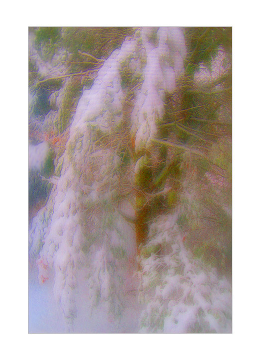 Photo titled April Fools Day