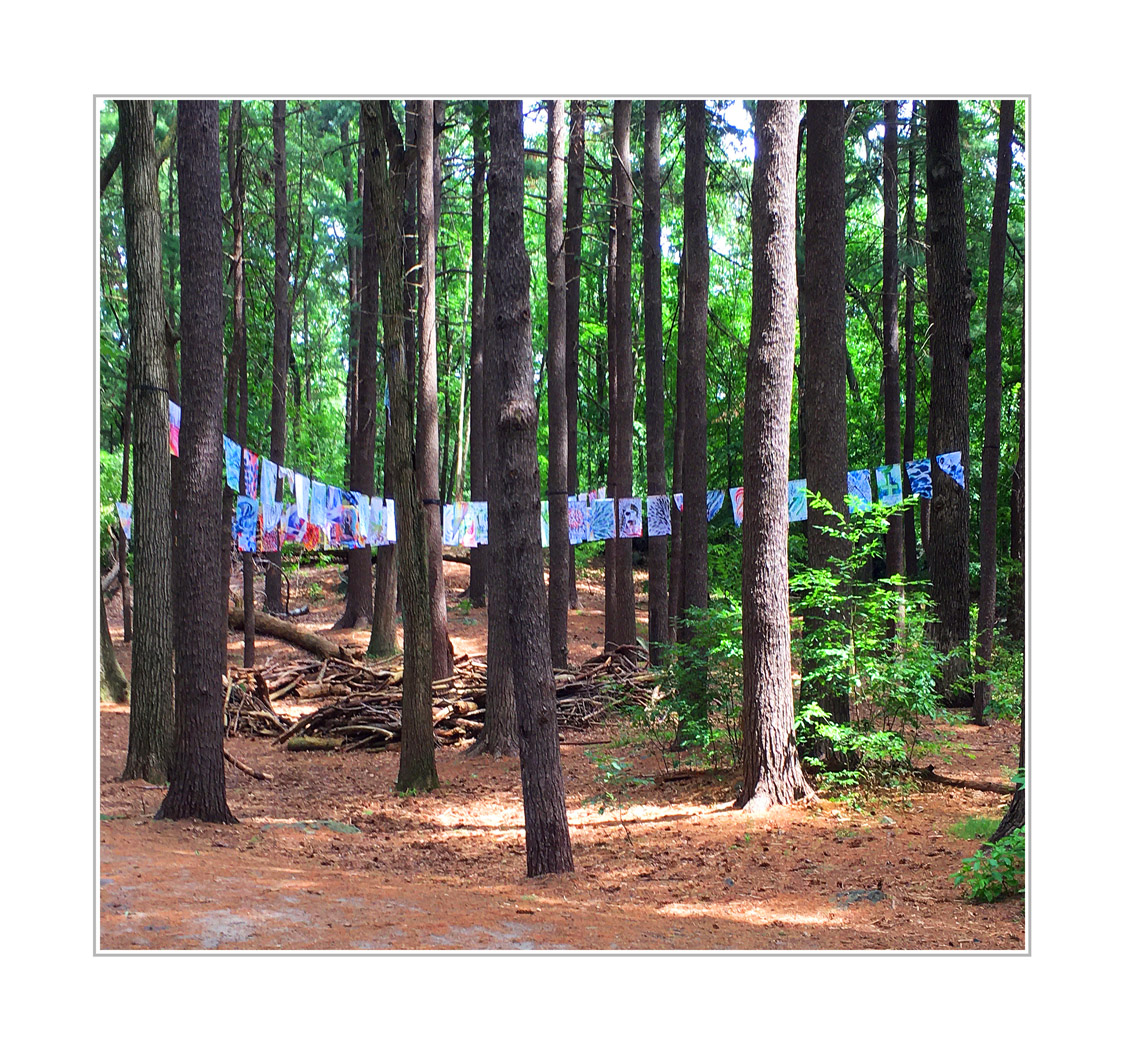 Photo titled Art in the Trees