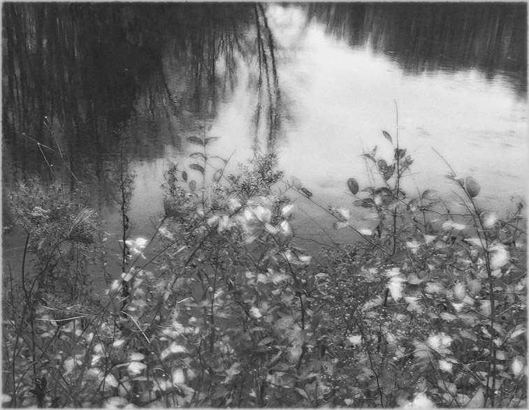 Photo titled Ashuelot November