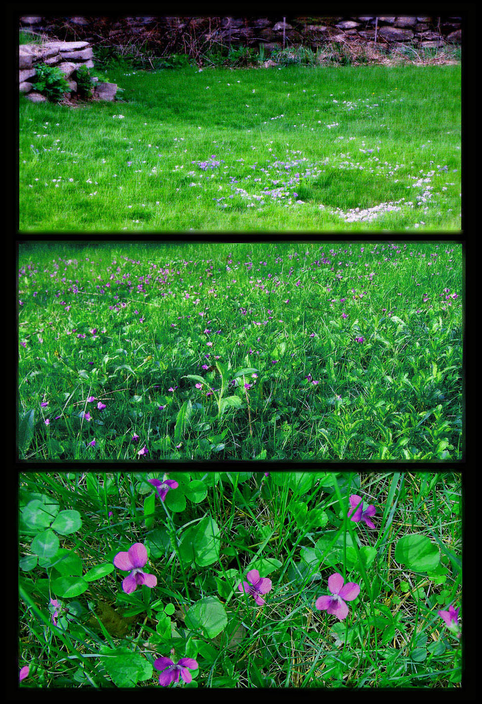 Photo titled Attention