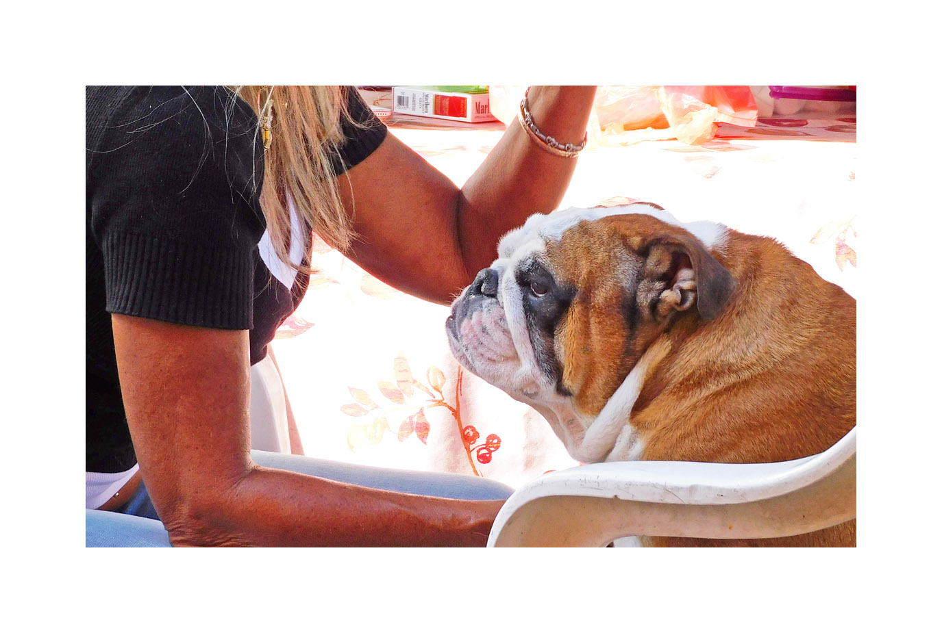 Photo titled Attentive