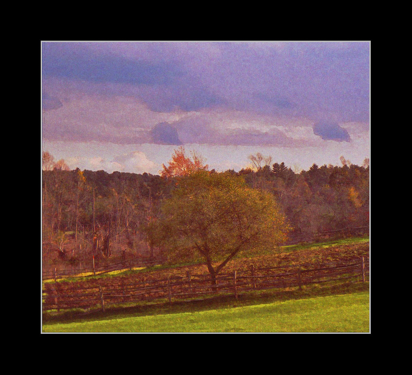 Photo titled Autumn Field