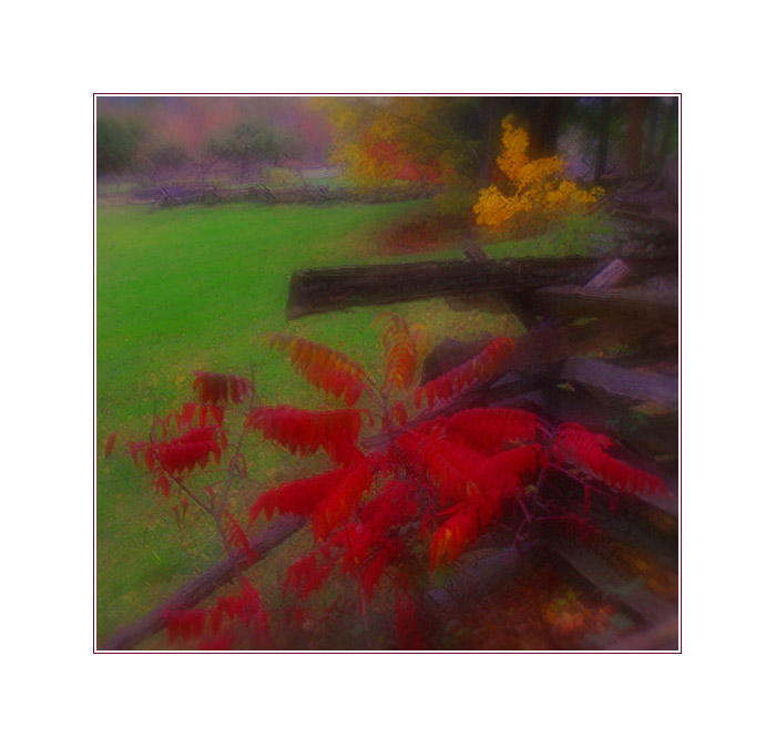 Photo titled Autumn Evening