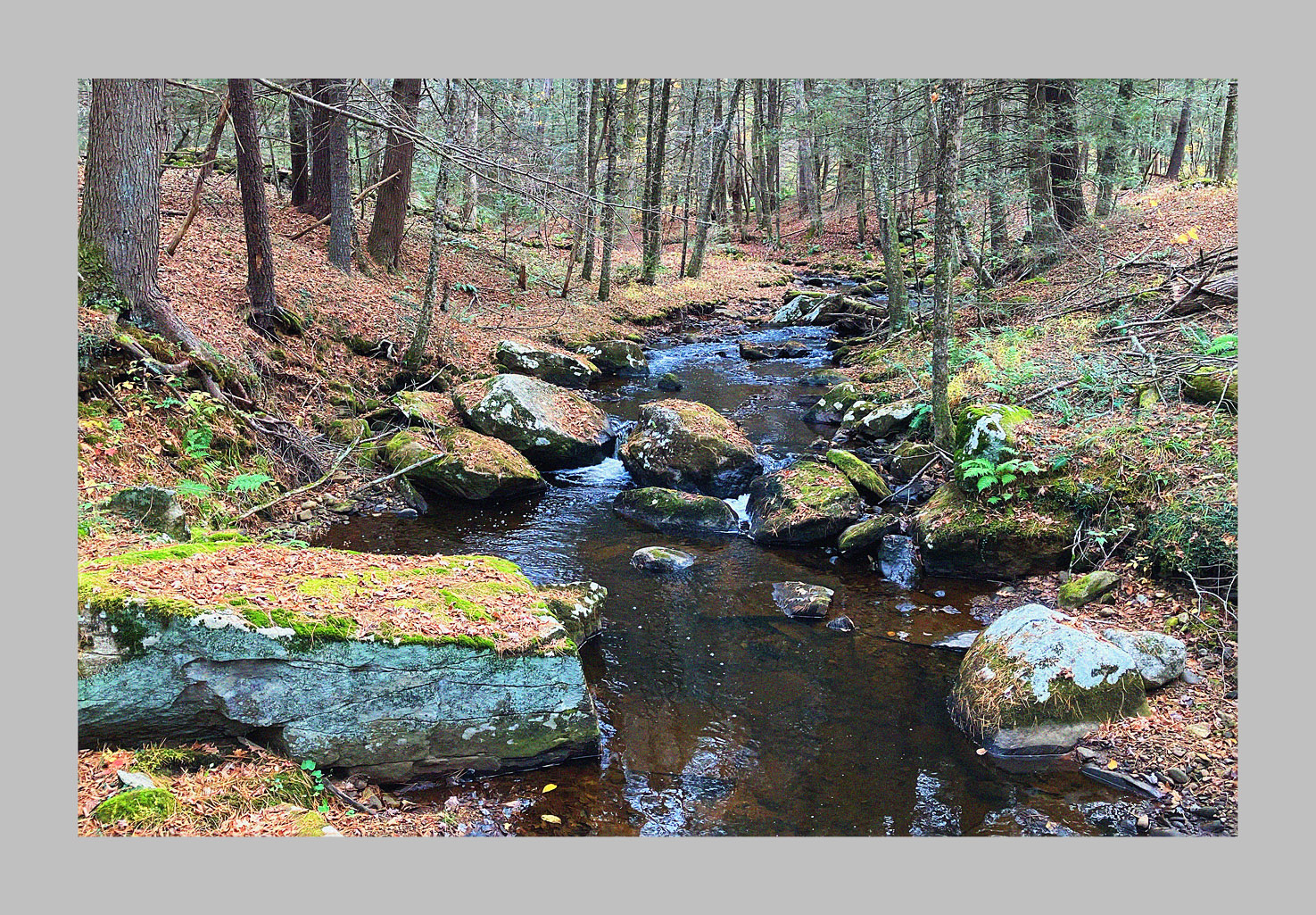 Photo titled Bell Brook (2025)