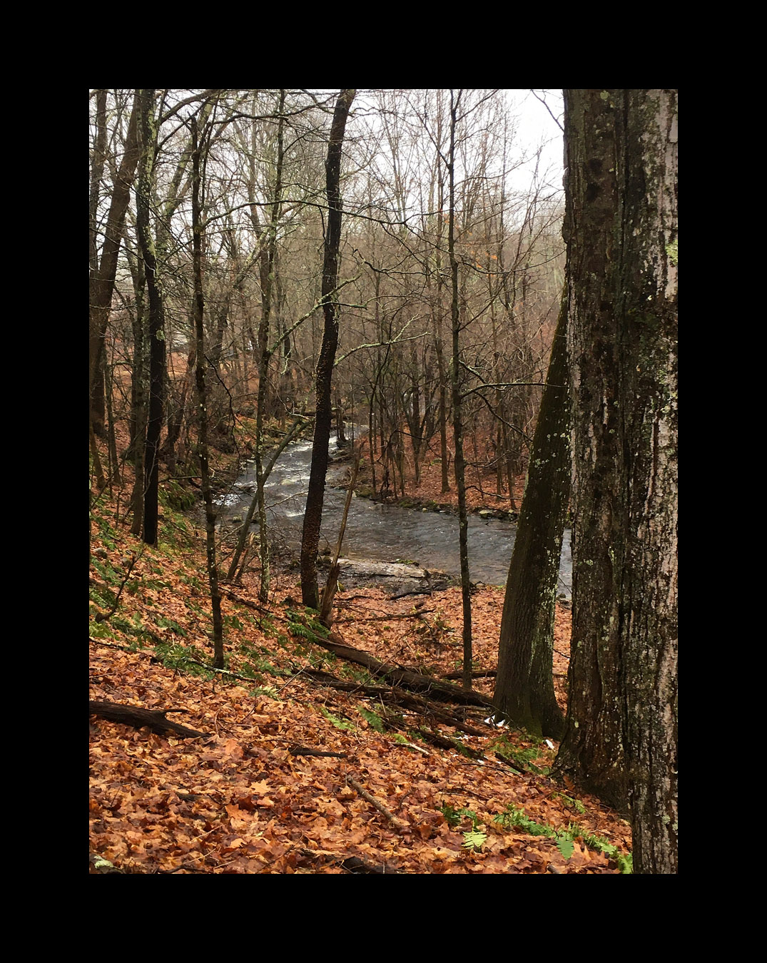 Photo titled Bend in the Water