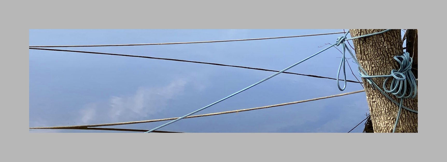 Photo titled Blue and Gray