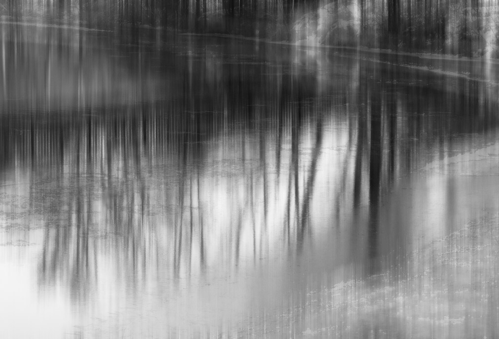 Photo titled Bridge Below