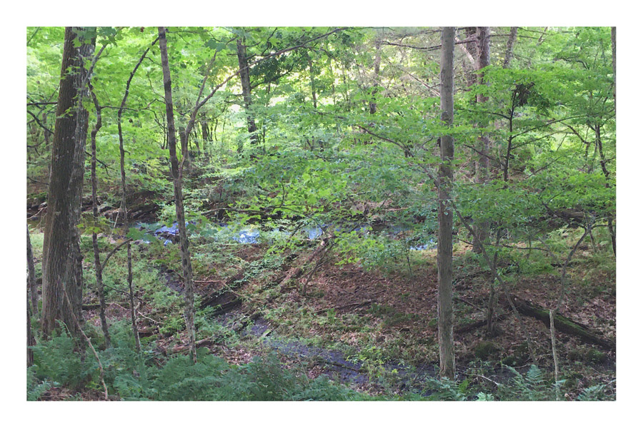 Photo titled Burrow Brook