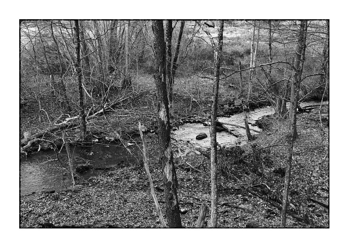 Photo titled Burrow Brook in December