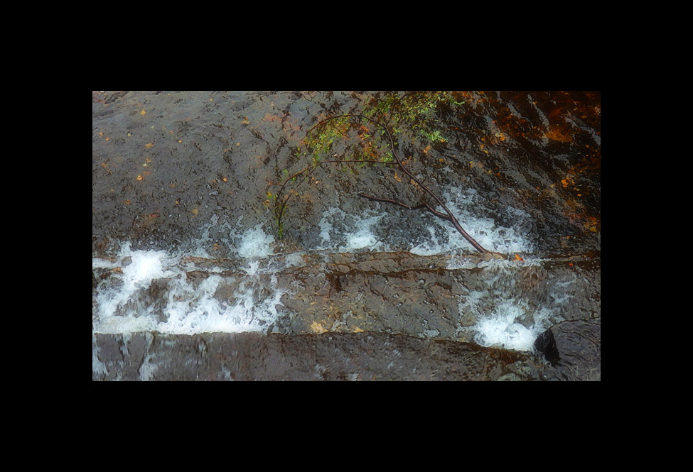 Photo titled By the Sawmill