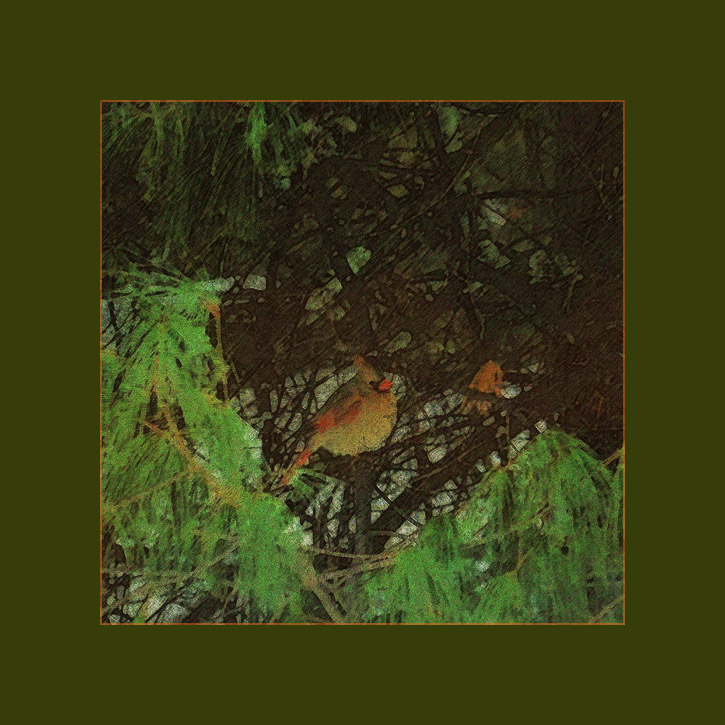 Picture titled Cardinal in Tree