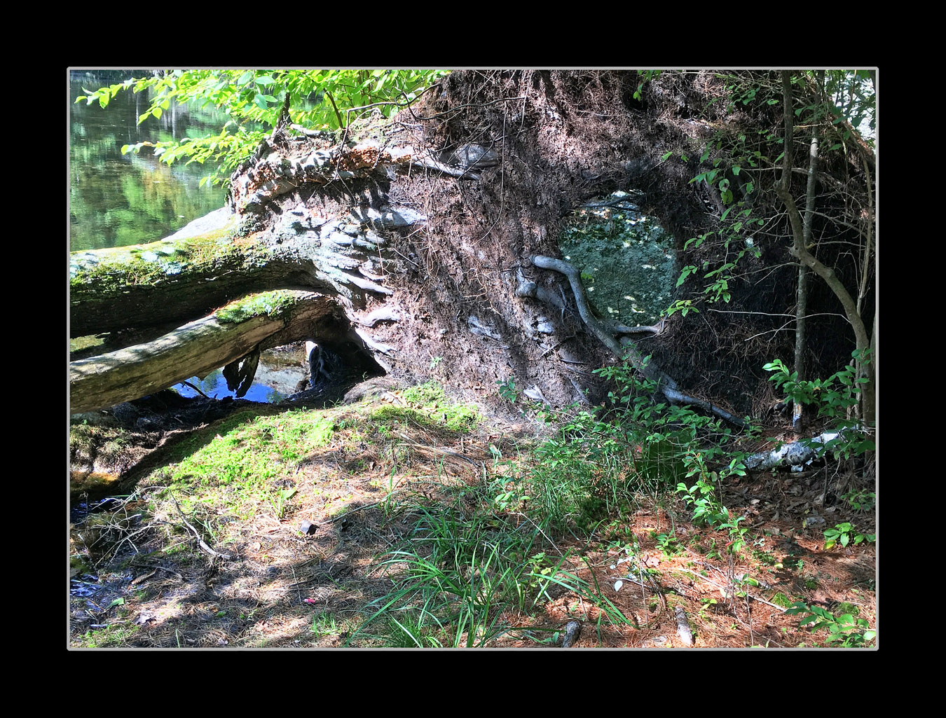 Photo titled Carter Pond 1