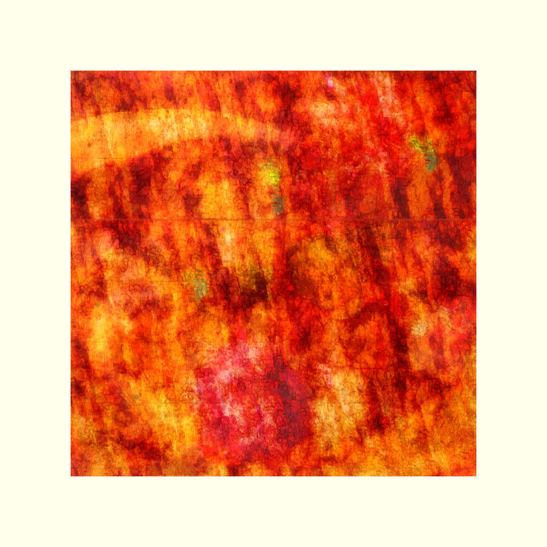 Picture titled Charybbeia