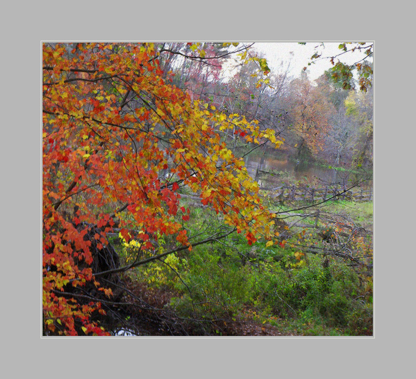 Photo titled Flooded Field With Autumn Colors