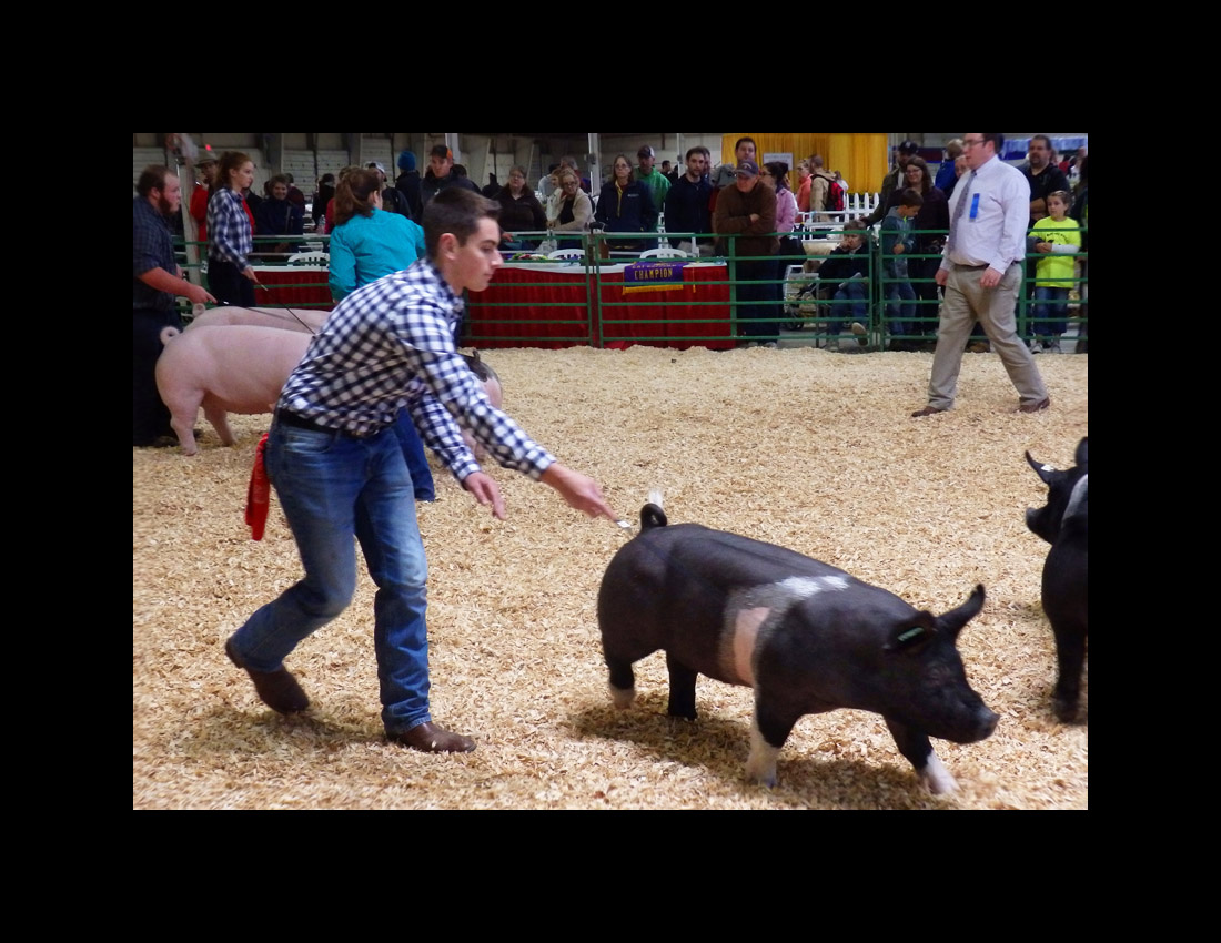 Photo titled Concentration