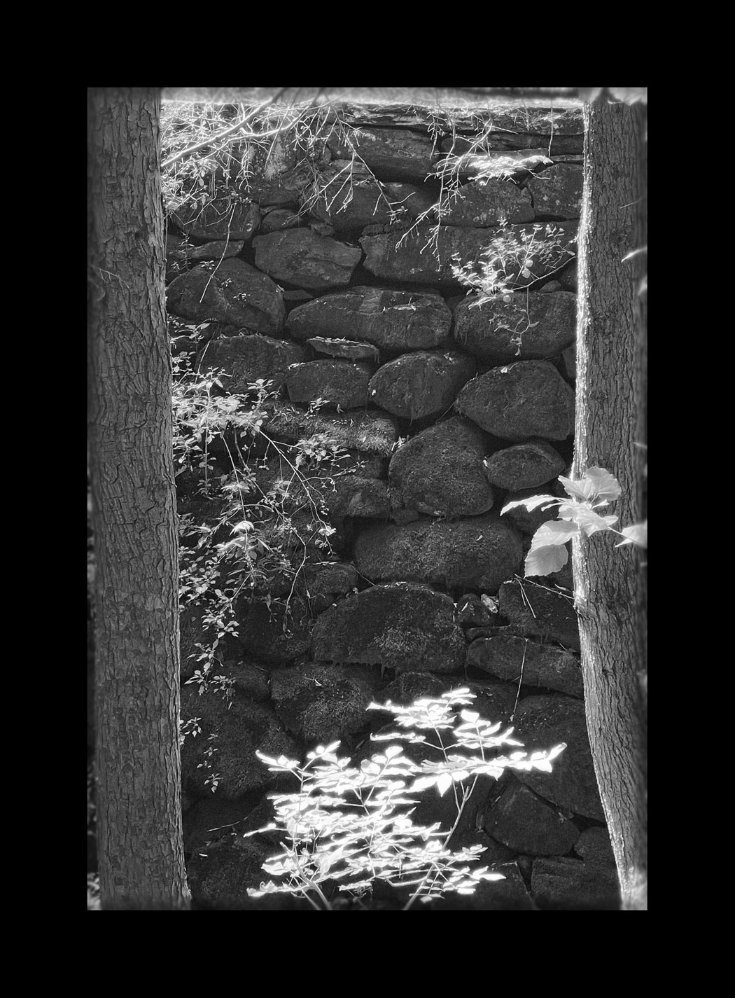 Photo titled Cooks Canyon Dam Wall