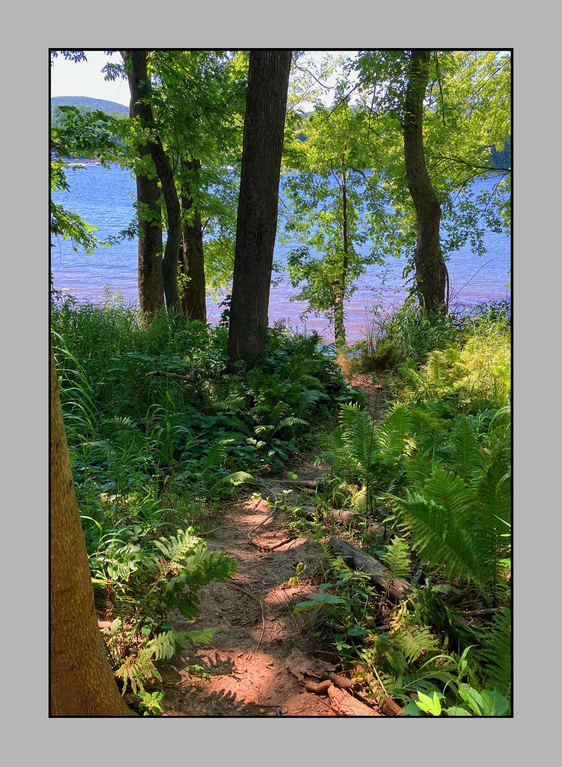 Photo titled Path to Connecticut River