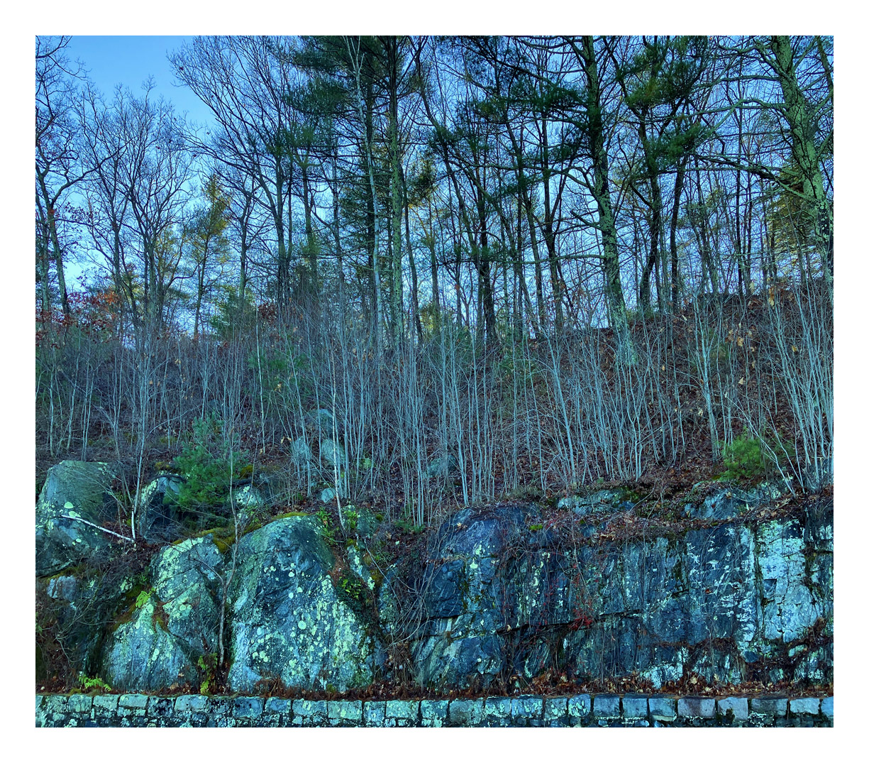 Photo titled At Goodnough Dike Circle