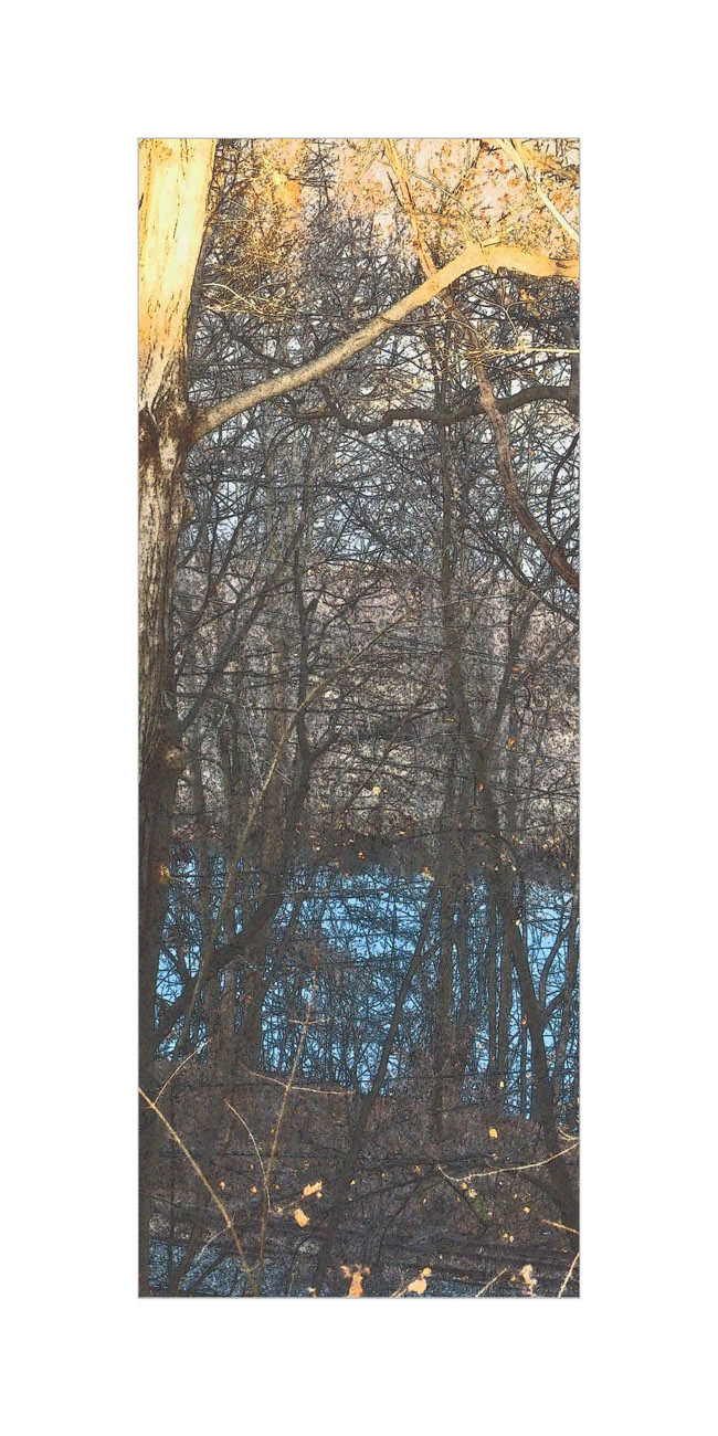 Photo titled Downhill