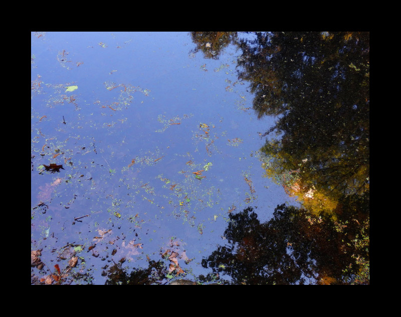 Photo titled Down Is Up