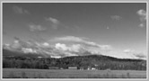 Digital Black & White Photographs