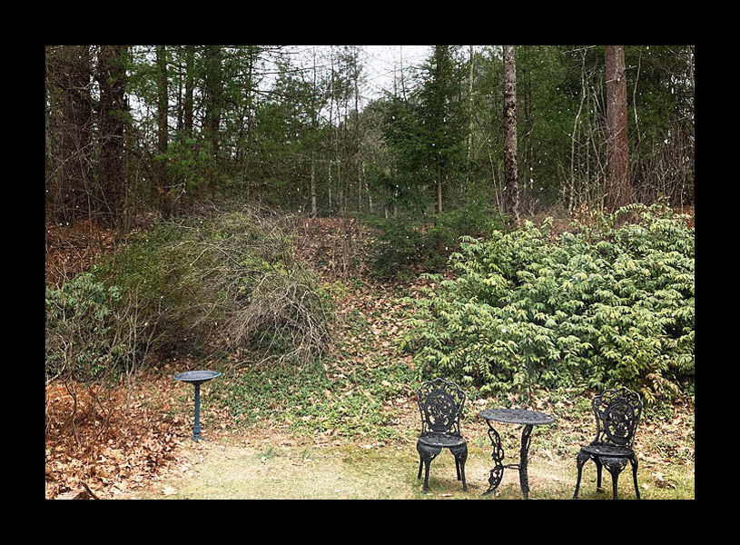 Photo titled Easter Flurry