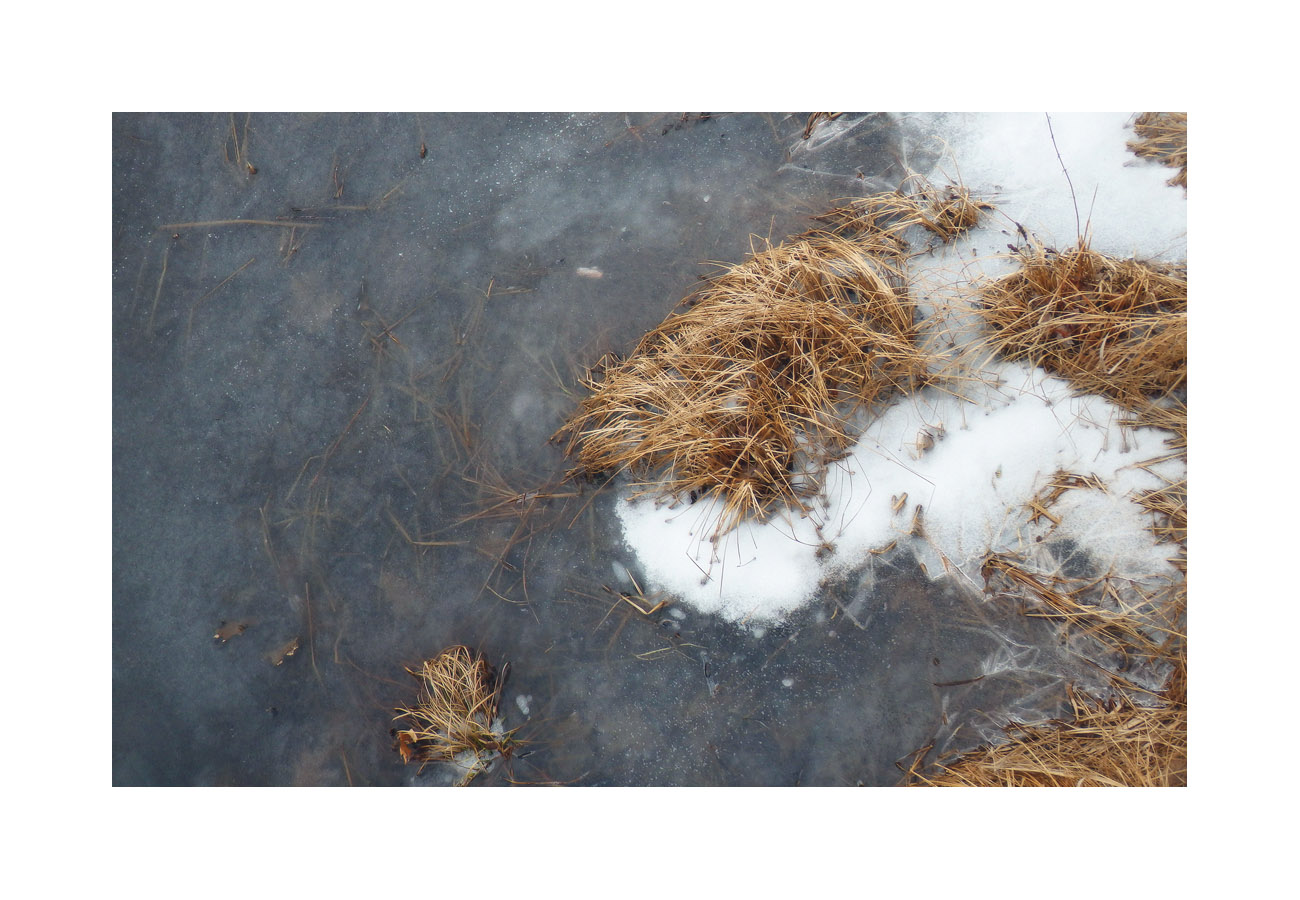 Photo titled Edge of the Ice