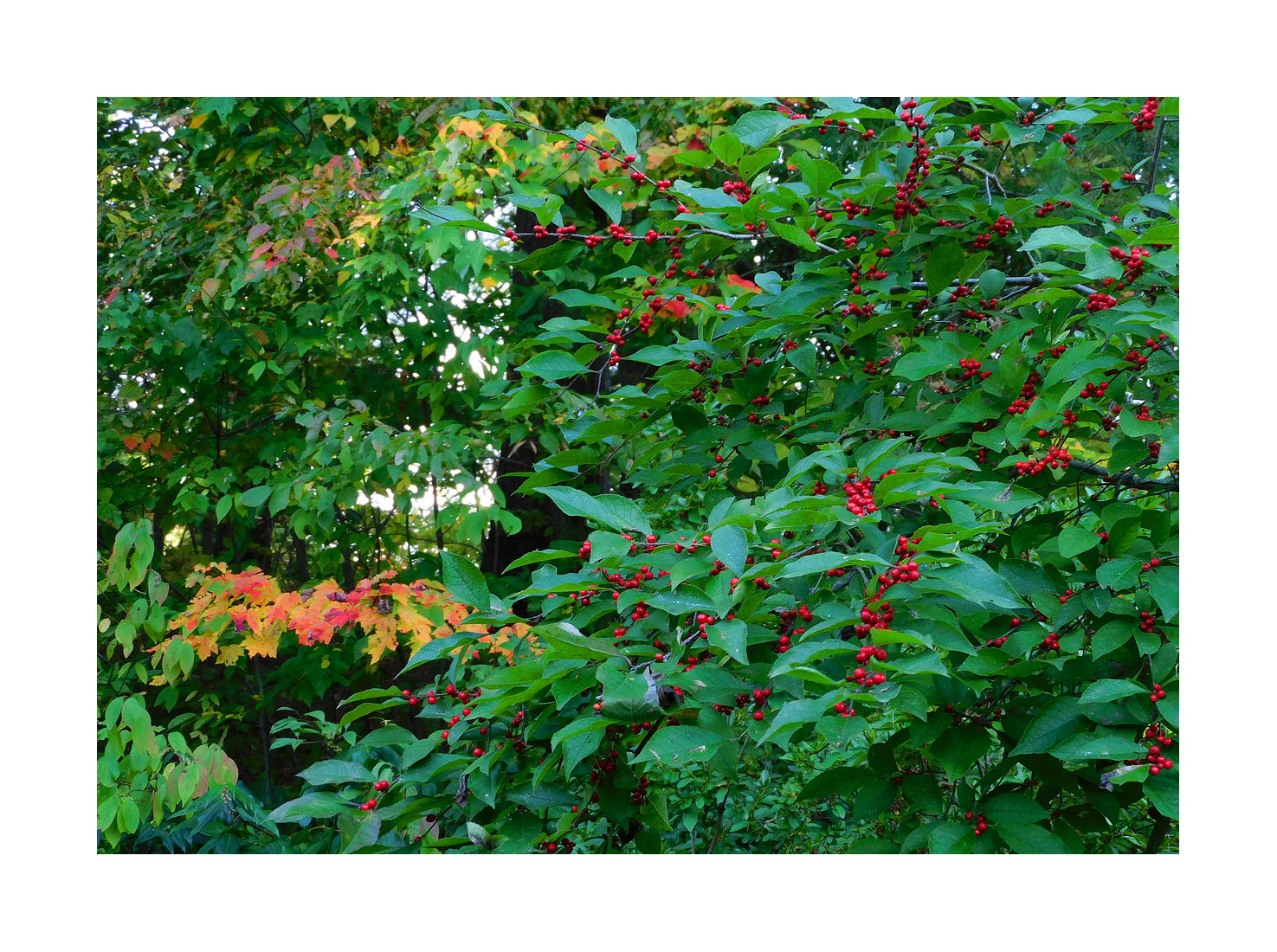 Photo titled End of September