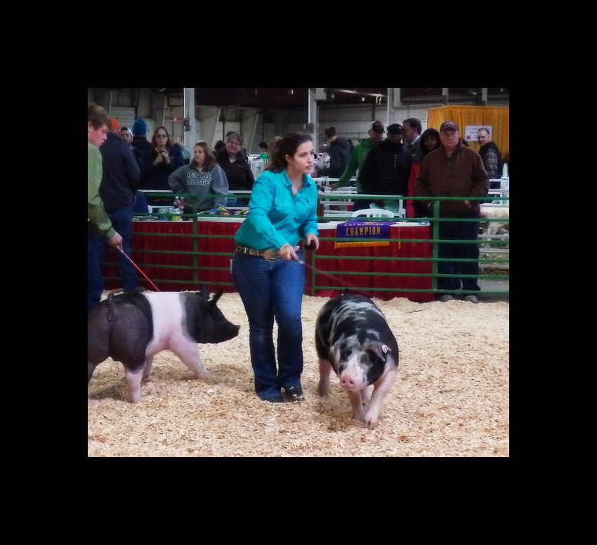 Photo titled Equilibrium