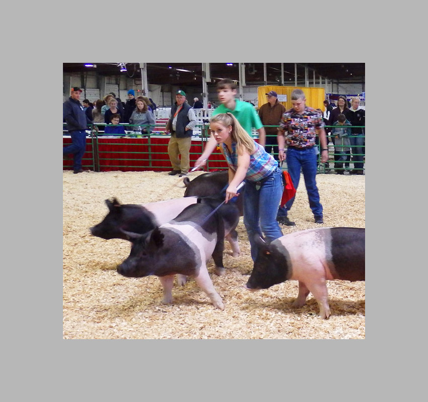 Photo titled Eyes Forward