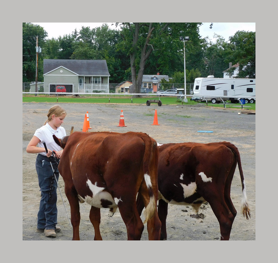 Photo titled Three County Fair Competitor