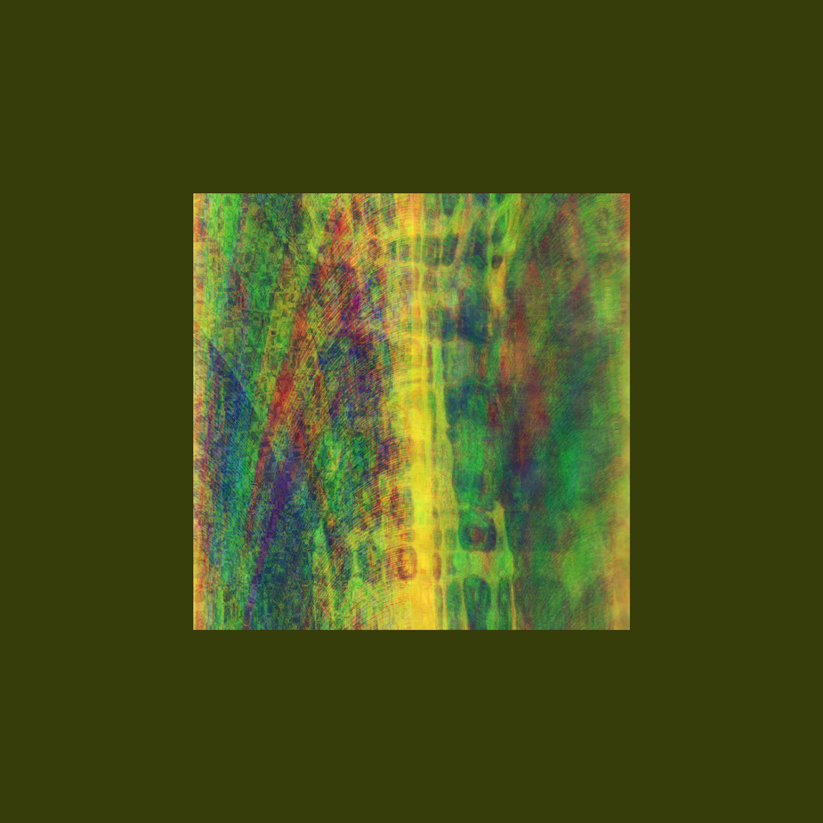 Picture titled Featherprint