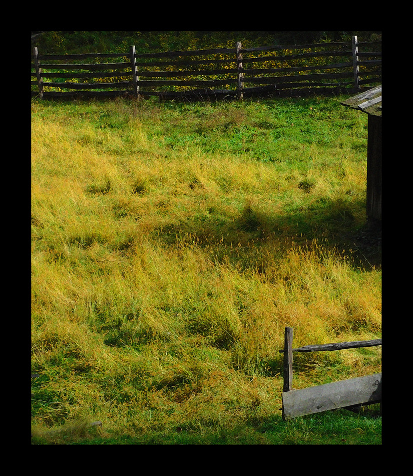 Photo titled Fenced Pasture