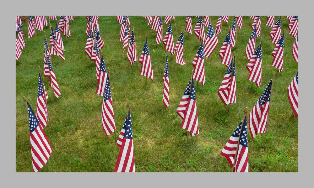 Photo titled Flag Field