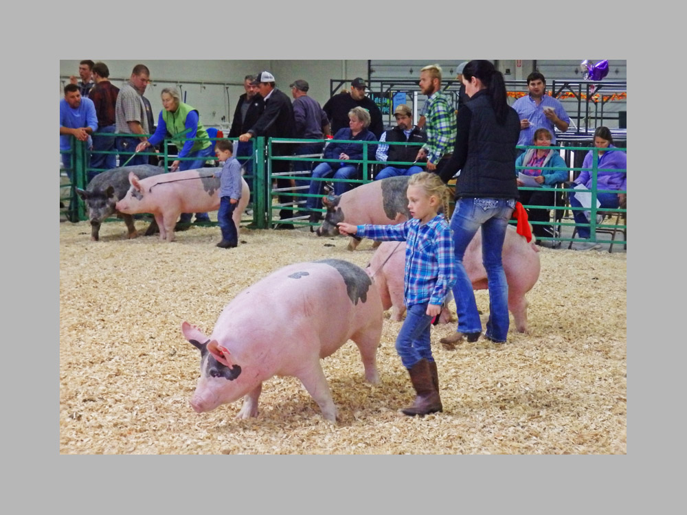 Photo titled Fun For All Ages