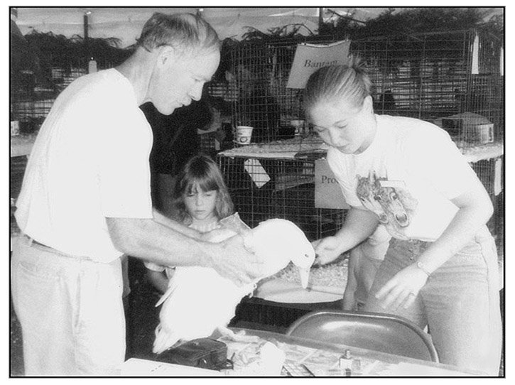 Photo titled Fowl in Play