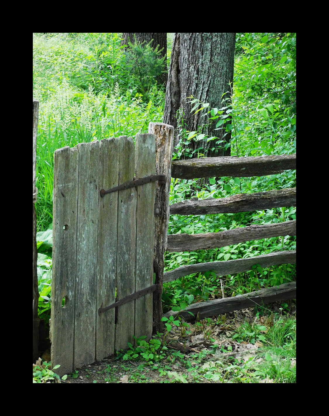 Photo titled Gate Ajar