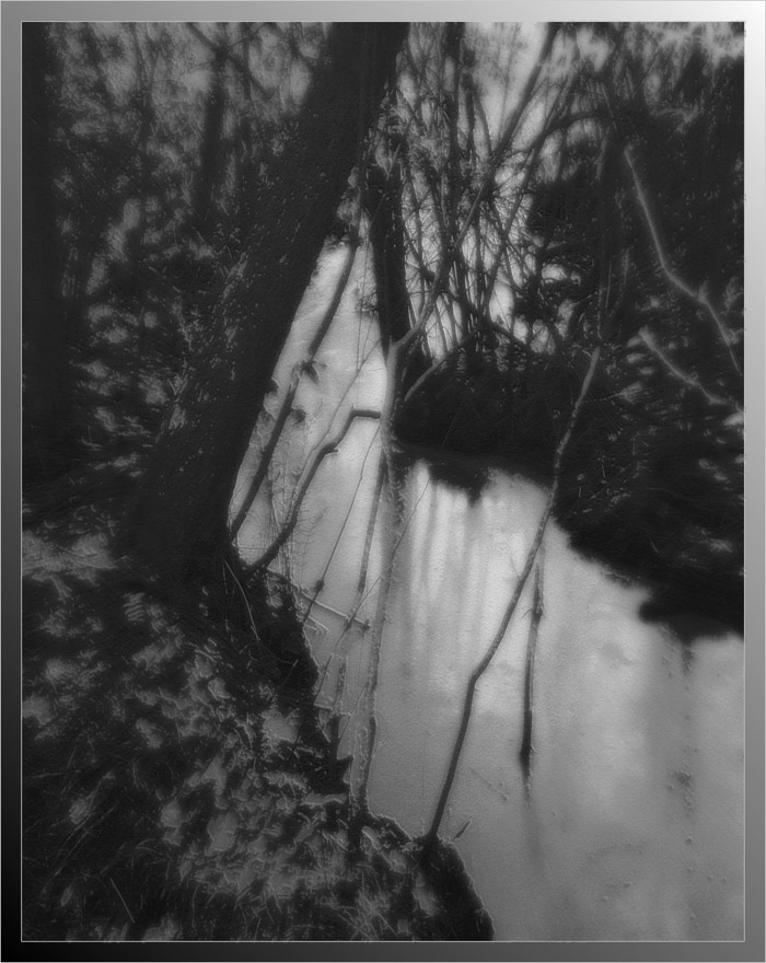 Photo titled Gloom 2