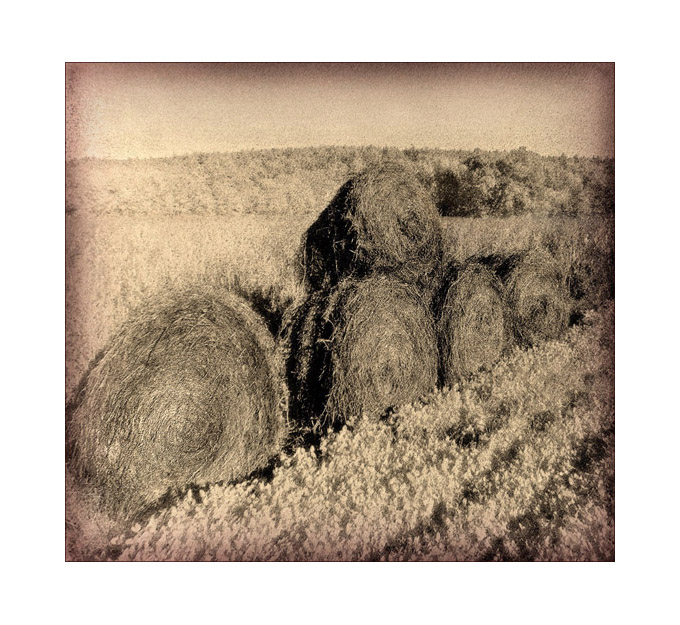 Photo titled Hay Bales