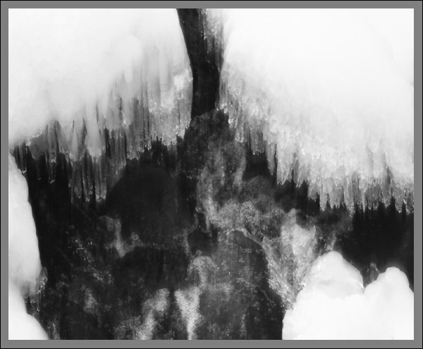 Photo titled Ice Fangs