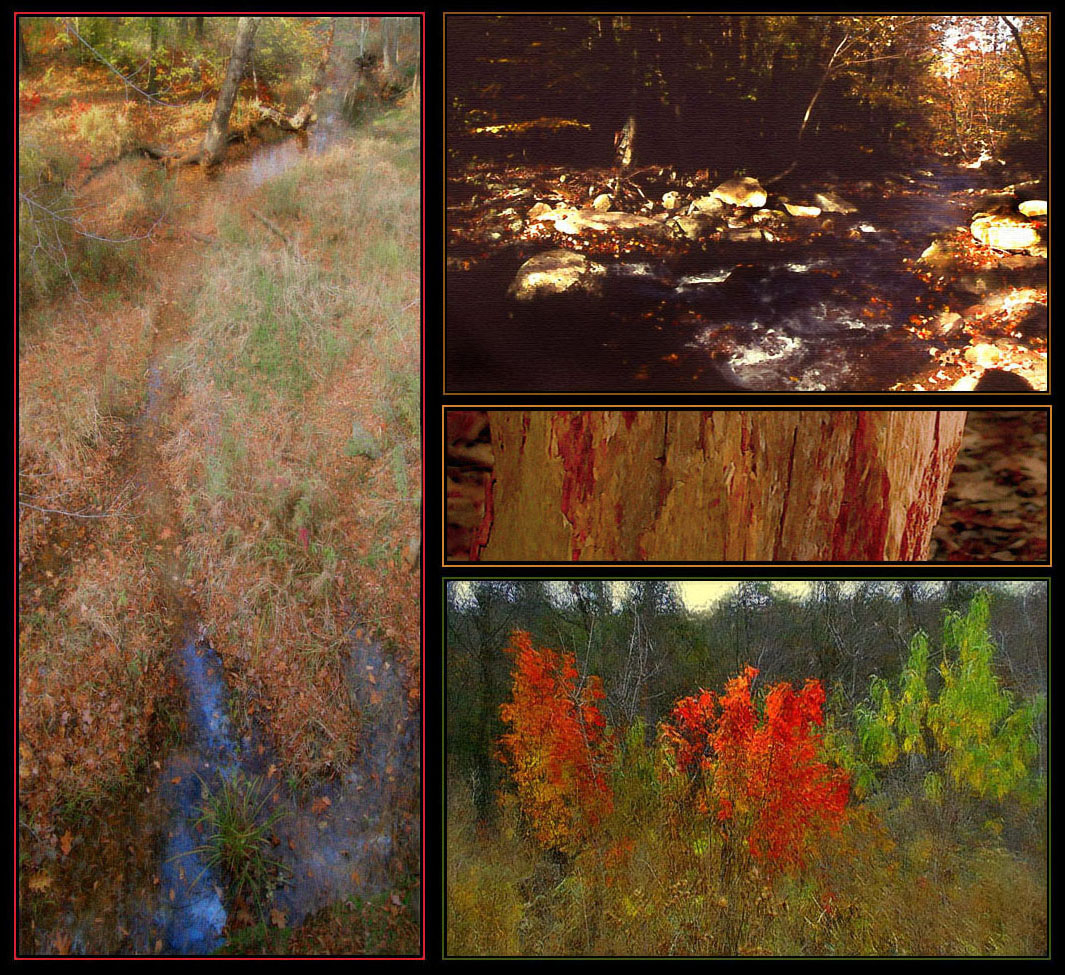 Photo titled Illustrated Autumn