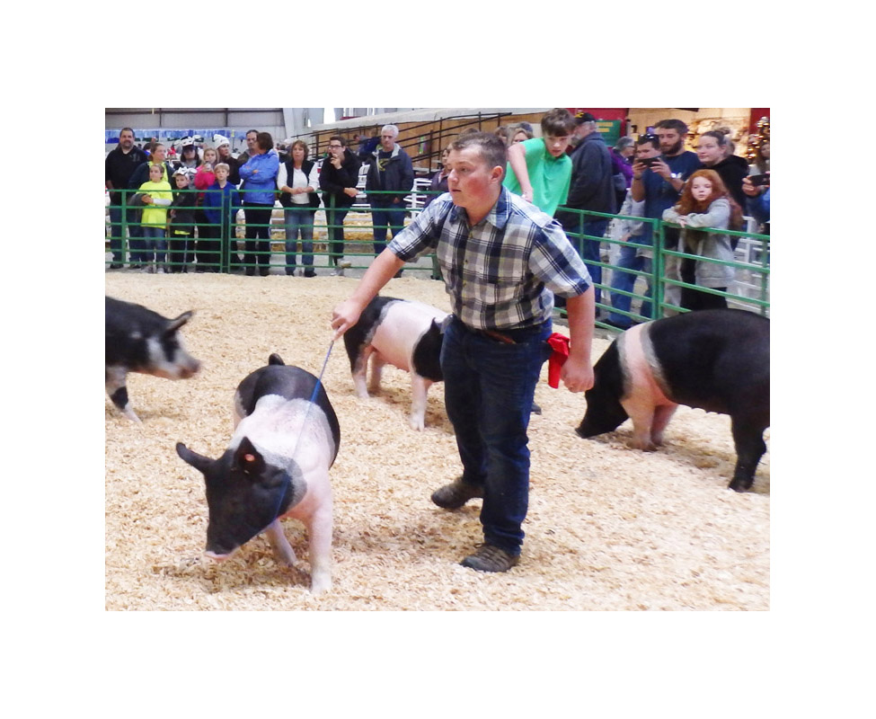 Photo titled In Medias Res