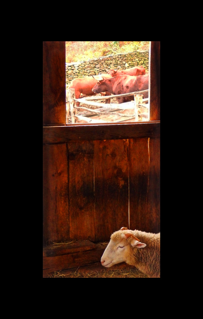 Photo titled Inside Outside