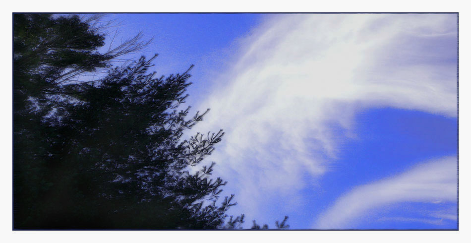 Photo titled Into the Sky