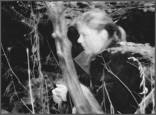 Photo titled Behind an Ironwood